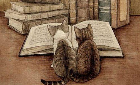 Литература - искусство не для всех